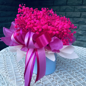 Flowers in a box, Fuchsia