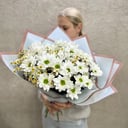 Blumenstrauß 'Sommerstrauß mit Strauchmargeriten'