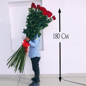 180 cm Extra Tall Red Roses