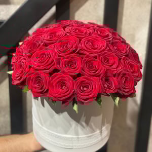 Blumenbox 'Marceline'