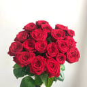 Long red roses