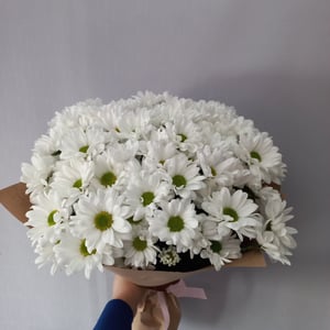 Blumenstrauß 'Chrysanthemum'