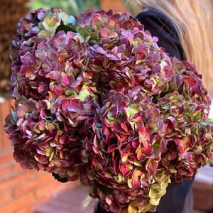 Bouquet 'Passion Pourpre'