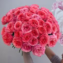 Blumenstrauß '61 Rosen Pink X Pression'