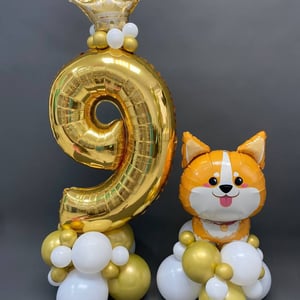 Number 9 balloon set