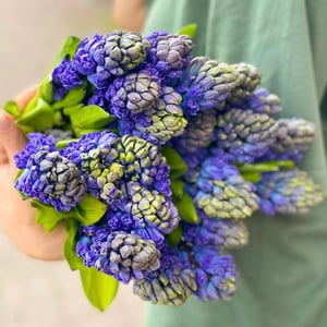 Blumenstrauß '19 Hyacinths'