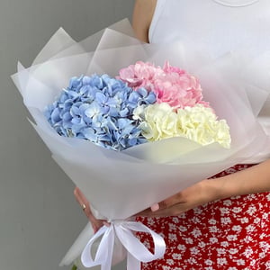 Bouquet 'Mélange d'hortensias'