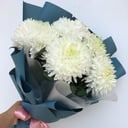 Bouquet of white single-headed chrysanthemums
