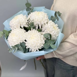 Bouquet de cinq chrysanthèmes blancs avec de l'eucalyptus.