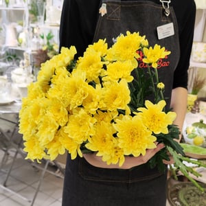 Bouquet of 7 Yellow Bush Chrysanthemums