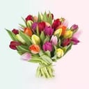 Bouquet of 24 tulips