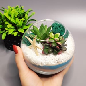Florarium Small