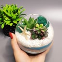 Florarium Small