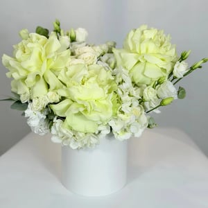 Blumenbox 'Morgen in Paris'
