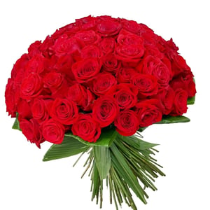 A grand bouquet of 100 Colombian roses.