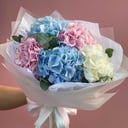 Bouquet 'Multicolored hydrangeas with "Stil" equivalence'