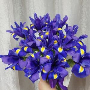 Bouquet 'Irises 11'