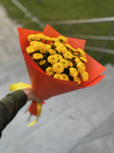 Lara___flowersmoscov