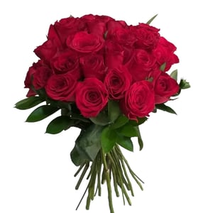 Bouquet of Colombian roses