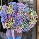 Blumenstrauß 'Gypsophila-Sträußchen'