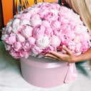 Caja de flores 'Composition "Plombir"'