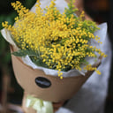 Bouquet of mimosa