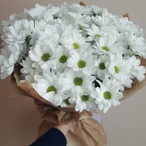 Bouquet 'Chamomile'