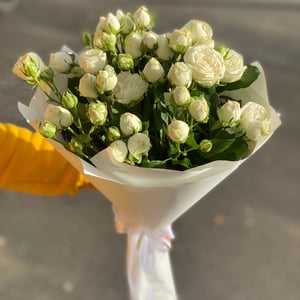 Snow White and the Seven Dwarfs