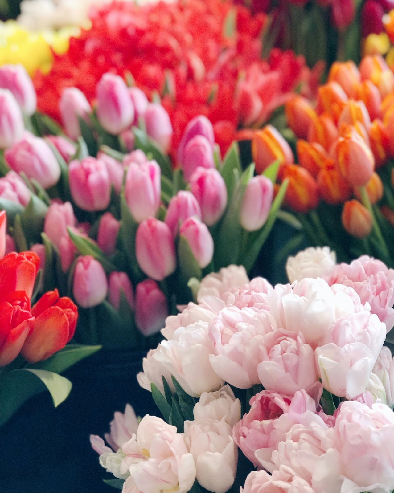 Best Flower Deliveries in Seattle, WA