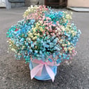 Rainbow gypsophila hatbox