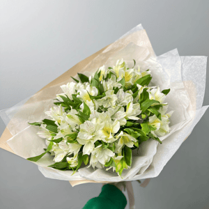 Ramo '11 alstroemerias ligeras por paquete'