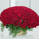 Flower basket '1001 Red Roses Basket'