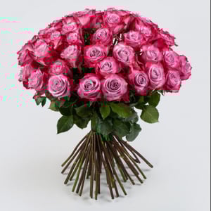 Mazzo 'Bouquet di 51 Rose "Deep perple"'