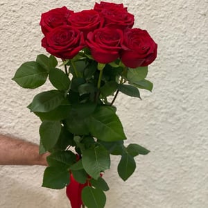 Bouquet 'Flower galaxy'