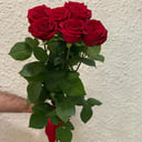 Ramo 'Flower galaxy'