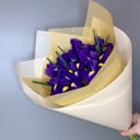 Ramo 'Iris 11'