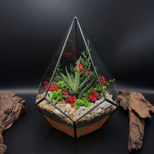 Флорариум с хавортией Праздничный вечер