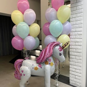 Balloon set for girls
