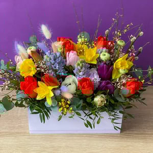 Boîte à fleurs 'Printemps'