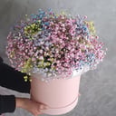 Hat box with flowers 'Gypsophila in a hatbox'