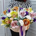 Orchids in the basket "Carnival"