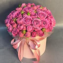 Composición Misty Bubbles