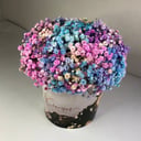 Blumenbox 'Eimer mit Gipskraut'