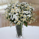A bouquet of daisies