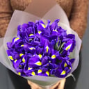 Bouquet of 13 irises