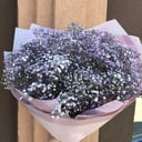 Blumenstrauß 'Gypsophila'