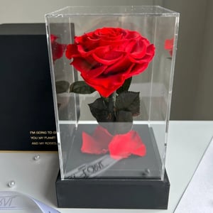Eternal Red Heart-Shaped Rose in Black Acrylic.