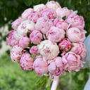 Blumenstrauß 'Rosenmarmelade'