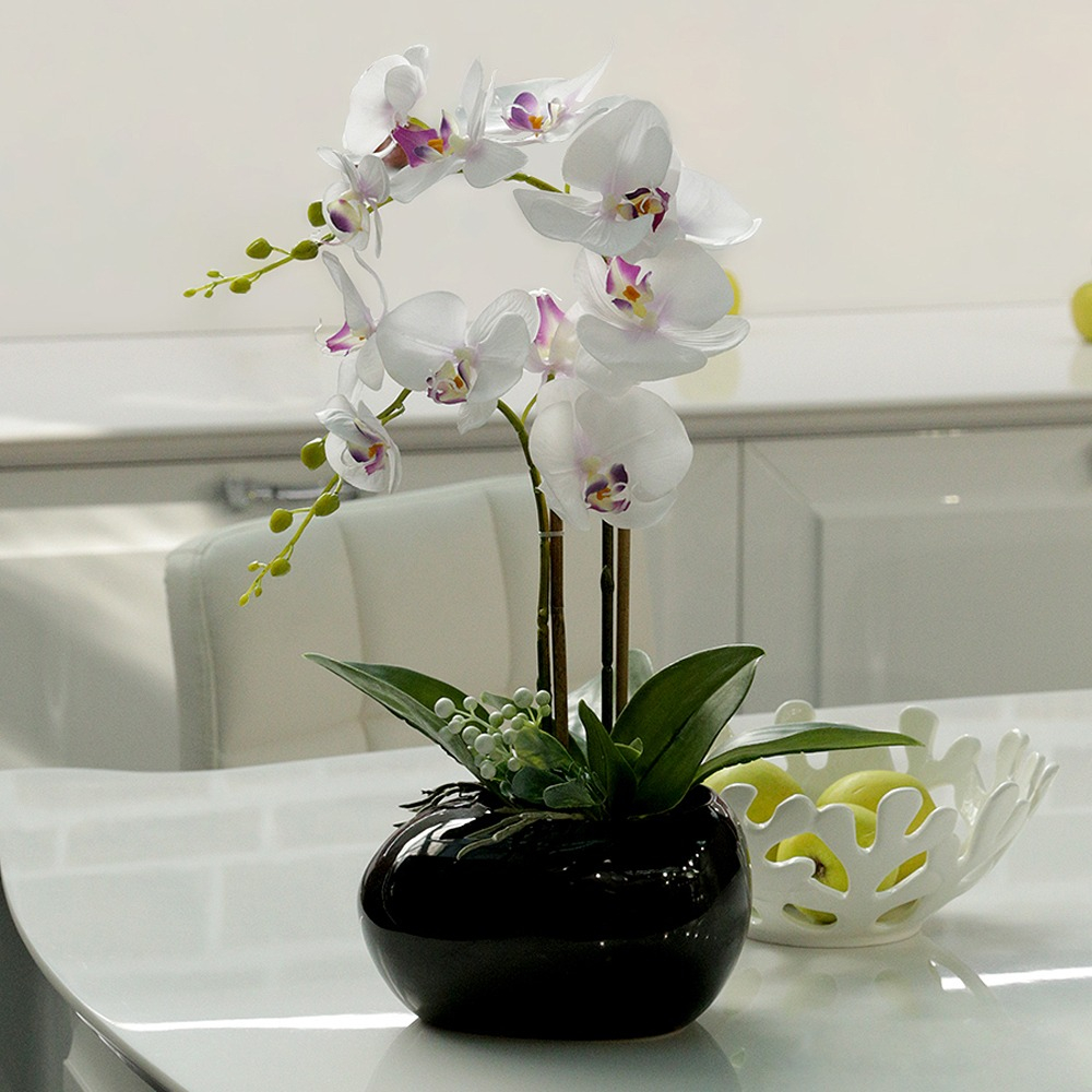 Белые орхидеи фото в горшках Orchid Phalaenopsis with 2 stems Order Flower Bouquets Delivery