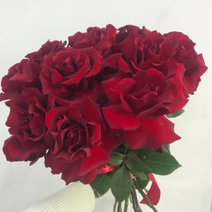 Bouquet of 11 red roses Sophia Loren